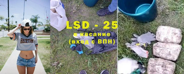 индика Баксан