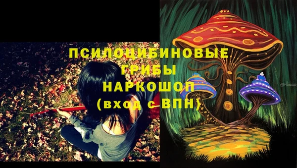 прущие грибы Балахна