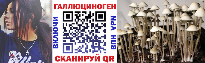 Псилоцибиновые грибы Cubensis где можно купить Мурманск